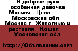 В добрые руки особенная девочка Масяня › Цена ­ 100 - Московская обл., Москва г. Животные и растения » Кошки   . Московская обл.